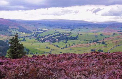 The Holt - Ilkley, central location, stylish apartment - Photo 9