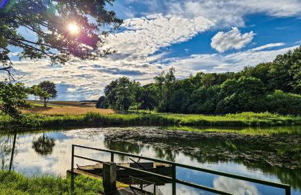 Zum Fuchskopp - Photo 13