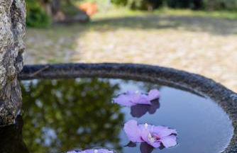 Quinta da Comenda - Foto 69