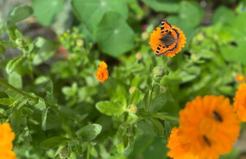 Siebenschläferhütte - Photo 34