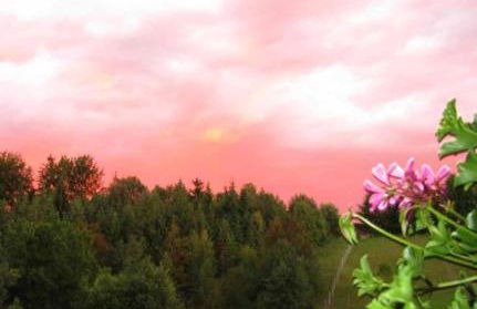 Haus Spannbauer - Foto 6