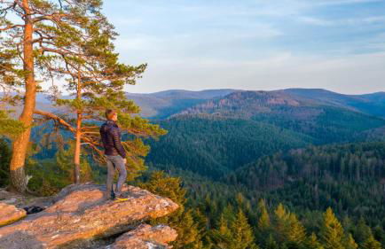 Budget Apartments at Niderviller Harbor by Kuhnle-Tours - Foto 29