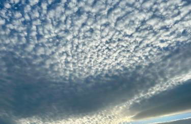 Fancy duplex penthouse in Carib Playa Cabopino - Photo 47