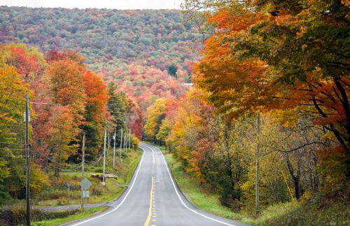 Leaf Peeper's - HUGE deck, pizza oven, Pac-man! - Photo 72