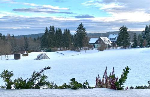 Villa Marie Ferienwohnungen - Foto 34