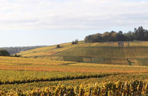 46 Paul Chandon Epernay - Foto 29