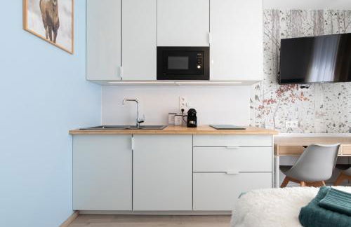 Apparts Seasons - Saint Étienne - La Terrasse - Foto 56