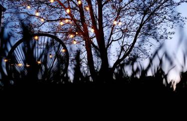 Siedlisko na wydmach, sauna,podgrzewane jacuzzi,domki klimatyzowane,starlink internet,parking - Photo 34