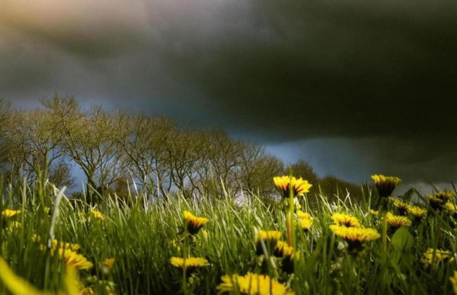 Docklodge in Friesland With Private Mooring - Foto 34