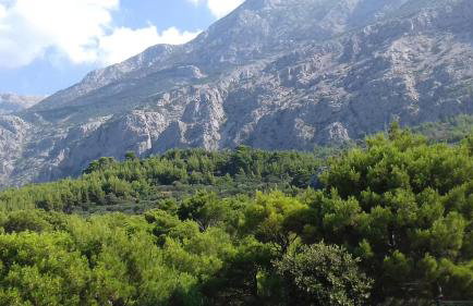 Studio with magic view - Photo 32