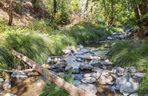 Modern Organic Home with Backyard Creek near State Park - Foto 33