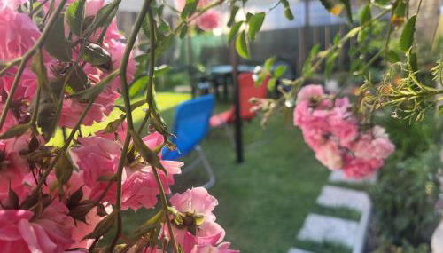 Appartamento di montagna da Agnese - Foto 3