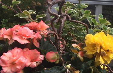 Ferienwohnung Gürth - Foto 41