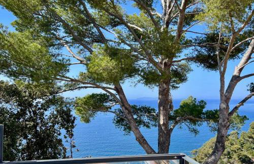 VILLA 650, Vue Mer magnifique, entièrement rénovée avec piscine - Foto 25