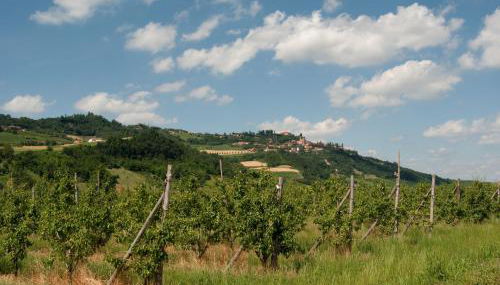 La casa delle Langhe - Foto 3