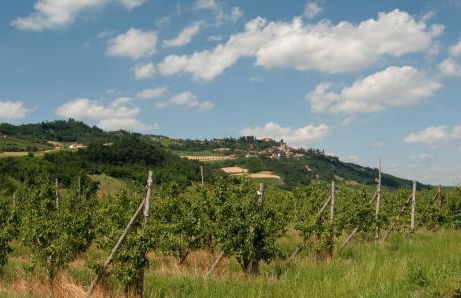 La casa delle Langhe - Foto 3