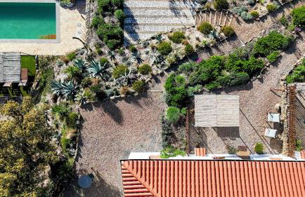 Finca Bravo - Foto 6