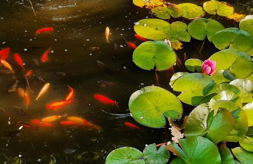 Ferienapartement Stuermer - Foto 41