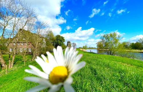 Ferienwohnung Hotel Appartement 2 Schlafzimmer Altes Landhaus Oste mit Terrasse, Grill, Küche, Bad, WLAN, nah am Nordsee Strand - Foto 60