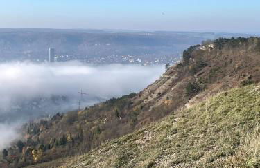 Ferienhaus Jena - Feuer und Flamme - Foto 21