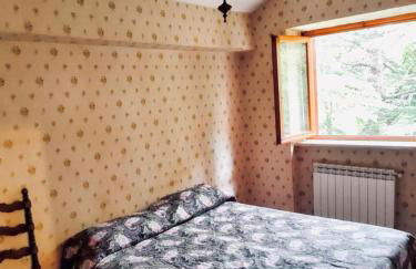 La Stella Alpina - Photo 12