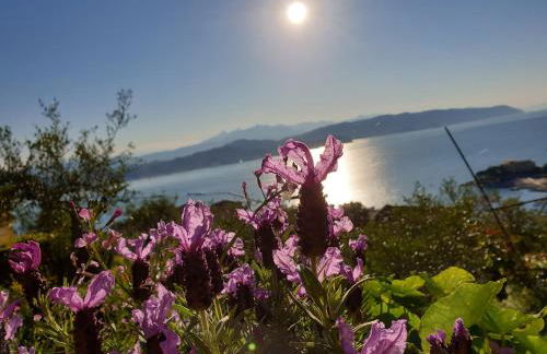 il 23 Holiday Home - Foto 22