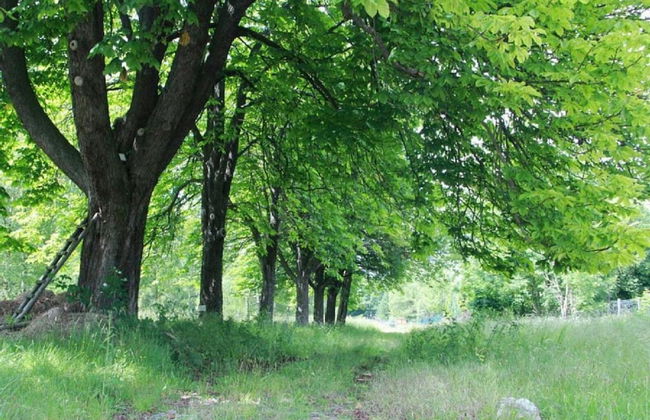 Apartment in Harz With Terrace and Fireplace - Photo 32