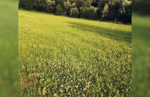 Gemütliche Wohnung Rothaarsteig Ski Sauna Ruhrtal Green Hill - Foto 18