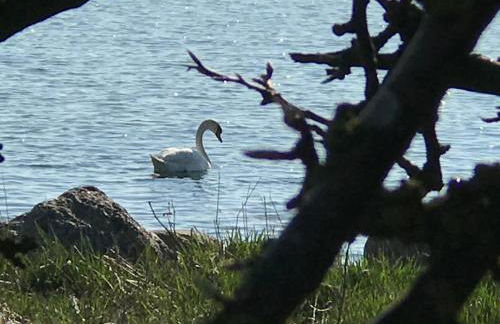 Ferienwohnung auf Rügen mit Boddenblick - Foto 57