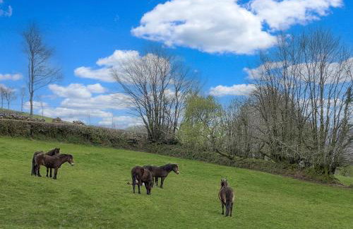 Dairy Cottage Dulverton - Foto 48