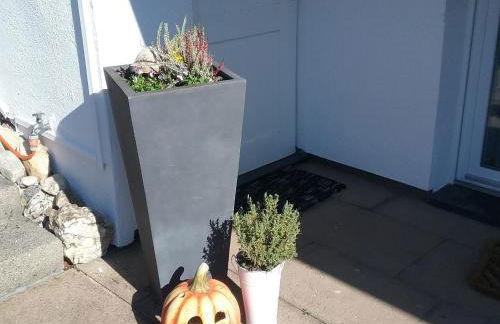 Perlenbachtal - Foto 27