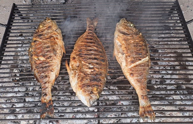 Authentic Stone House Lola - Foto 45