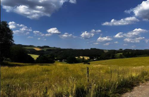 Conzen Hof am Hennesee - Foto 12