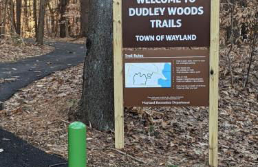 Spacious Two Bedroom Apartment - Foto 31