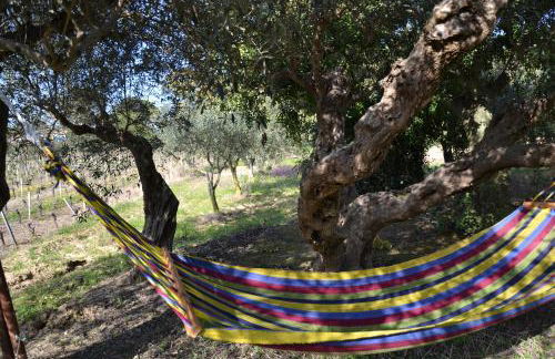 Villa Titì - Foto 24