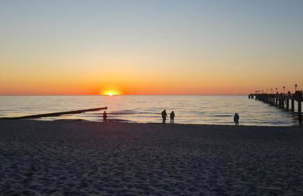 Ferienwohnung Ostsee Graal-Müritz Küstenwald - Foto 29