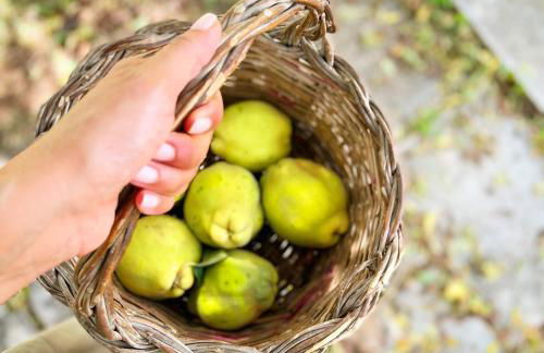 Masseria Vittoria - Foto 64