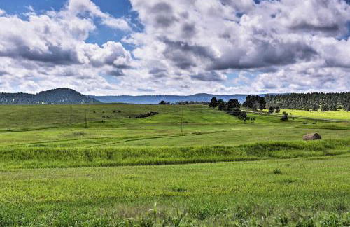 Black Hills Retreat about 3 Mi to ATV Trails! - Foto 28