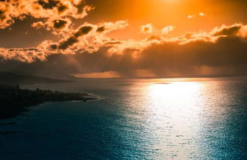 Nido Paraiso - Foto 9