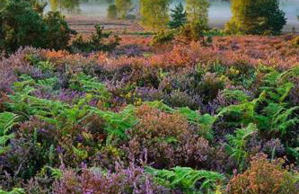 Rogate Cottage Retreat - Foto 41