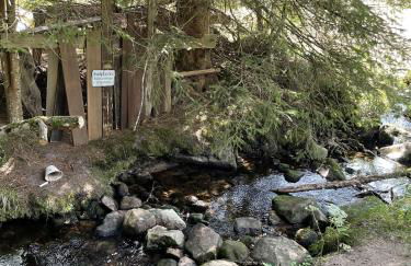 Chalet 22 Bernau - Foto 38