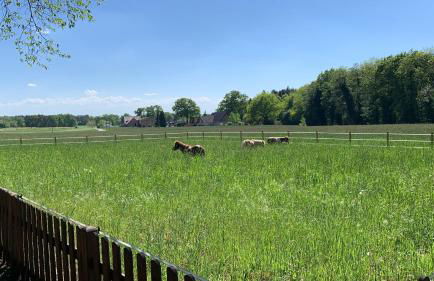 Bartholdskrug by Mini - Foto 8