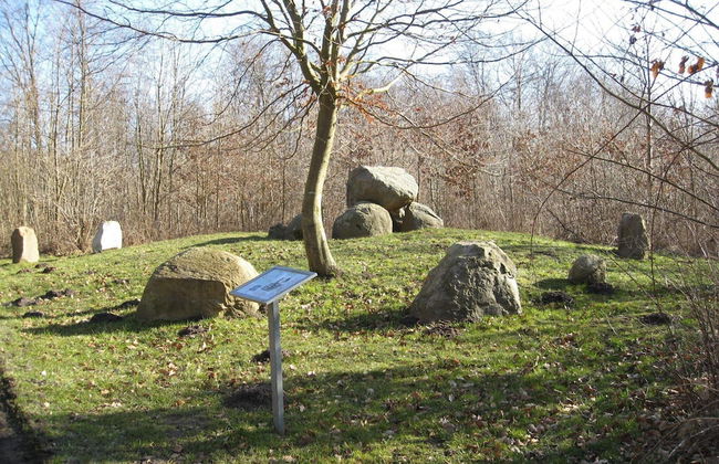 6 Person Holiday Home in Praesto-by Traum - Foto 9