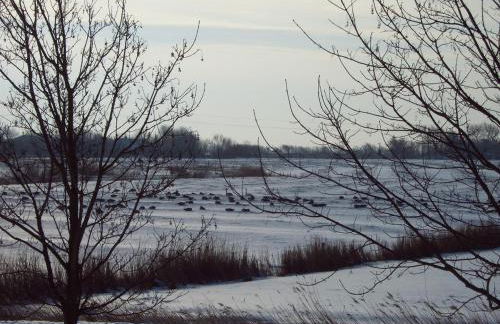 Ferienhaus Pölig - Photo 6