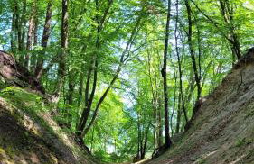 apartament przy plaży w Redłowie - Photo 21