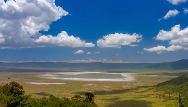 Ganztägige Safari im Ngorongoro-Krater - Private Tour - Foto 2