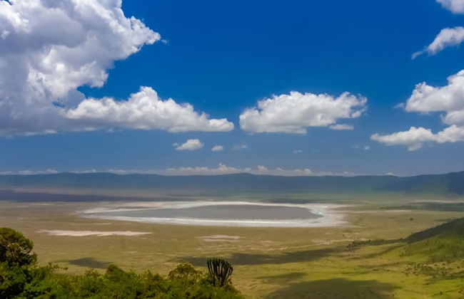 Ganztägige Safari im Ngorongoro-Krater - Private Tour - Foto 2