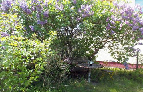 Ferienwohnung "Galerie" - Foto 14