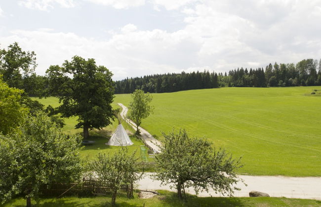 Gut Grasleiten - Foto 47