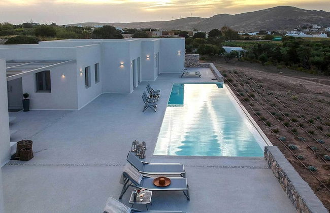 Angels Estate - Foto 28